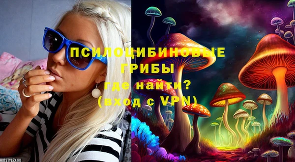 ECSTASY Горнозаводск