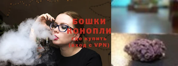 стаф Кодинск