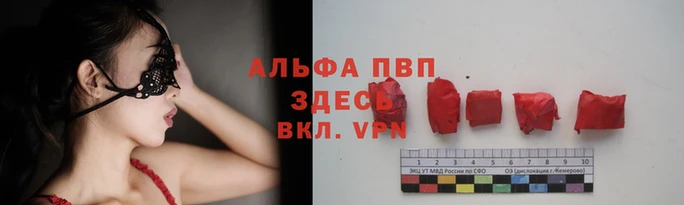 ECSTASY Горнозаводск