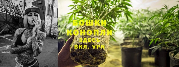 MESCALINE Горно-Алтайск