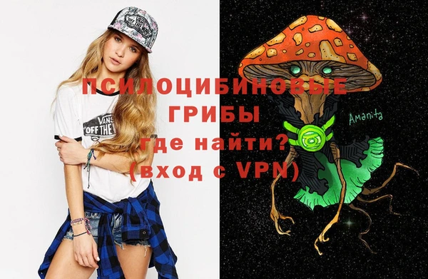 мескалин Гусев